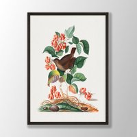 Vintage Zaunkönig Druck - Vogel Wandkunst, Küstenvogel, Audubon Dekor, Vögel Von Amerika, Vogelliebhaber Geschenk, Bauernhaus Dekor von VenusseArt