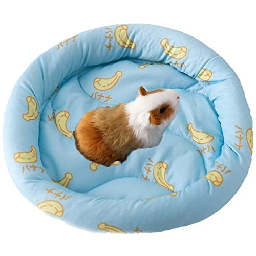 Vepoty Kleine Haustiermatte Rund Weiche Hamsterbett Kleine Tierbettkissen Matte Schlafmatte Für Eichhörnchen Igel Kaninchen von Vepoty