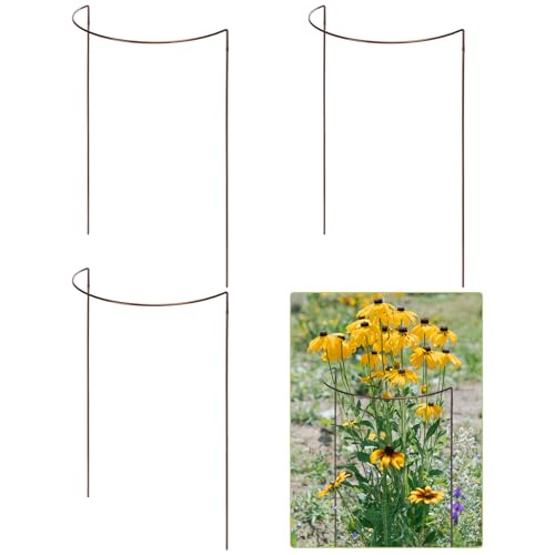 Vercraft Halbrunde Pflanzenstützen, 45,7 x 88,9 cm, halbrund, robust, Metall, halbrund, wetterfest, stabil, für Gartenpflanzen, Blumen, 4 Stück Vercraft Halbrunde Pflanzenstützen, 45,7 x 88,9 cm, halbrund, robust, Metall, halbrund, wetterfest, stabil, für Gartenpflanzen, Blumen, 4 Stück von Vercraft