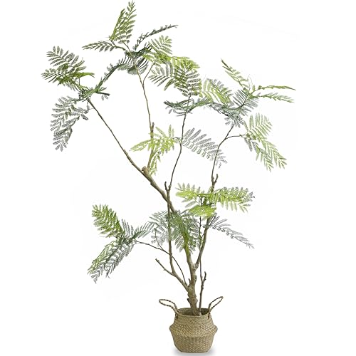 VerdantCharm Künstlicher Jacaranda – 230 cm hoch – perfekt für Wohnzimmer, Schlafzimmer, Arbeitszimmer, Büros oder Balkone, verleiht jedem Raum unverwechselbaren Charme VerdantCharm Künstlicher Jacaranda – 230 cm hoch – perfekt für Wohnzimmer, Schlafzimmer, Arbeitszimmer, Büros oder Balkone, verleiht jedem Raum unverwechselbaren Charme von VerdantCharm