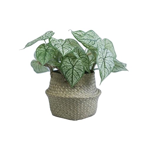 VerdantCharm Künstliches Liebesblatt 36x37.5cm Kunstpflanze für Wohnzimmer, Schlafzimmer & Home Office VerdantCharm Künstliches Liebesblatt 36x37.5cm Kunstpflanze für Wohnzimmer, Schlafzimmer & Home Office von VerdantCharm