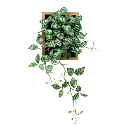 VerdantCharm Melonensamenblätter im Bilderrahmen, 30x48cm Tischdekoration Kunstpflanze für Wohnzimmer, Büro & Home Office von VerdantCharm