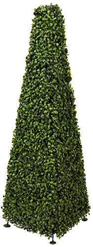 Buchsbaumpyramide Verdecor von Verdemax