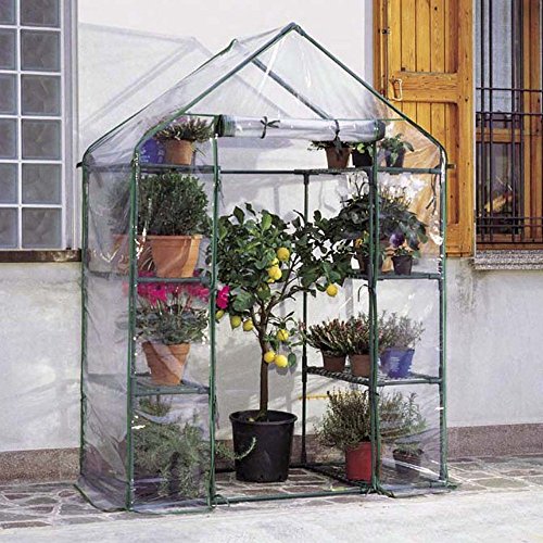 Gewächshaus Ibiscus, 8 Ebenen von Verdemax