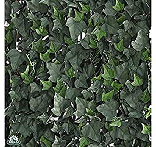 Immergrüne Verdecor-Hecke mit künstlichen Efeublättern cm 50 x 50 von Verdemax