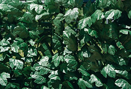 Immergrüne Verdecor-Hecke mit künstlichen Efeublättern von Verdemax