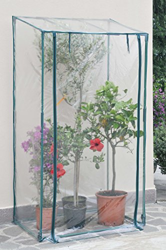 VERDEMAX cm 100 x 70 x 190 "BUGANVILLEA" Gewächshäuser mit Stahlkonstruktion und UV-beständigem Deckblatt INKLUSIVE, Grün von Verdemax