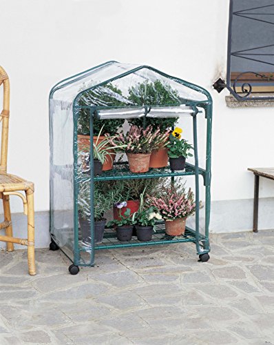 VERDEMAX cm 70 x 50 x 98 "AZALEA" Gewächshaus mit 2 Regalen und Rädern (Deckblatt INKLUSIVE) von Verdemax