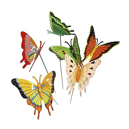 Schmetterlinge Schmetterlinge von Verdemax