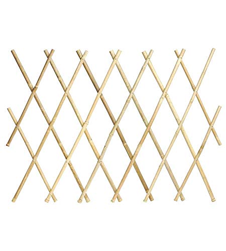 Verdemax 5272 Ausziehbares Rankgitter aus Bambus, 1,8 x 1,2 m, Natur Verdemax 5272 Ausziehbares Rankgitter aus Bambus, 1,8 x 1,2 m, Natur von Verdemax