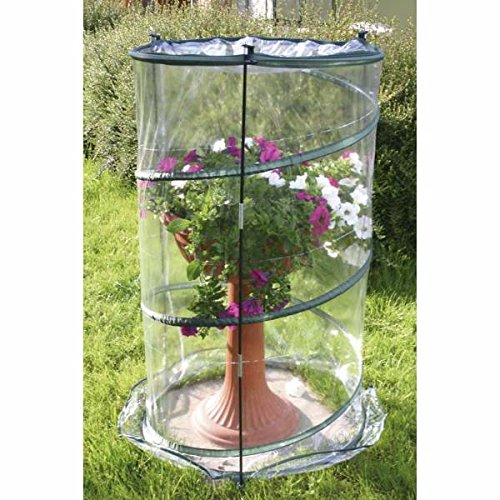 Verdemax - Pop-Up Anthurium Greenhouse - 70x110CM von Verdemax