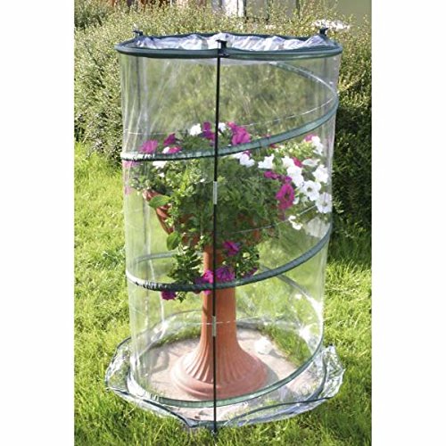 Verdemax - Serra Pop-up Anthurium cm 70xh110 von Verdemax