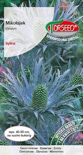 Verdica Blaue Edeldistel Eryngium Samen – Auffällige blaue Blütenköpfe, ideal für frische und getrocknete Arrangements, einfach in kalkreichem Sandboden zu ziehen, mehrjährige Schönheit (0,5 Gramm) Verdica Blaue Edeldistel Eryngium Samen – Auffällige blaue Blütenköpfe, ideal für frische und getrocknete Arrangements, einfach in kalkreichem Sandboden zu ziehen, mehrjährige Schönheit (0,5 Gramm) von Verdica