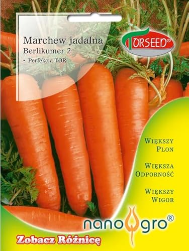 Verdica Goldene Ernte Karottensamen Berlikumer 2 – Spät reifend, optimal für Lagerung, verbessert mit Nano-Gro Biostimulans, hoher Ertrag, süßer Geschmack, 16-19 cm Wurzeln (5 Gramm) von Verdica