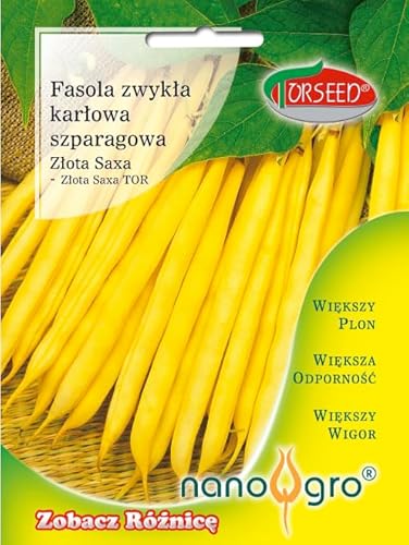 Verdica Goldene Saxa Buschbohne Phaseolus vulgaris Samen – Frühreifend, Hoher Ertrag, Faserfreie Hülsen, Verbesserte Wuchsleistung, Krankheitsresistent, Ideal für Töpfe & Gärten (30 Gramm) von Verdica