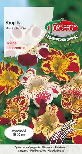 Verdica Lebhafte Glockenblume Mimulus Mimulus hybridus Samen – Faszinierende Mehrfarbige Blüten, Ideal für Beete, Rabatten & Gefäße, 15-30 cm Wuchs (0,25 Gramm) von Verdica