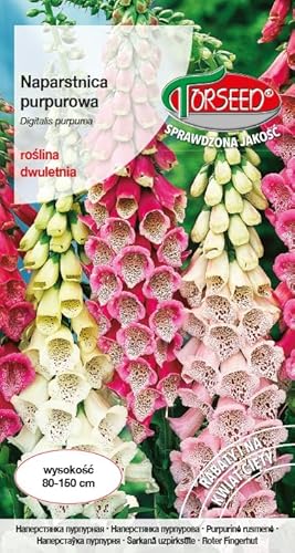 Verdica Lila Fingerhut Digitalis purpurea Samen – Mehrfarbige Blüten, Ideal für hohe Beete, Auffällige Zweijährige, 80-150 cm Höhe, Perfekte Schnittblumen (0,5 Gramm) von Verdica