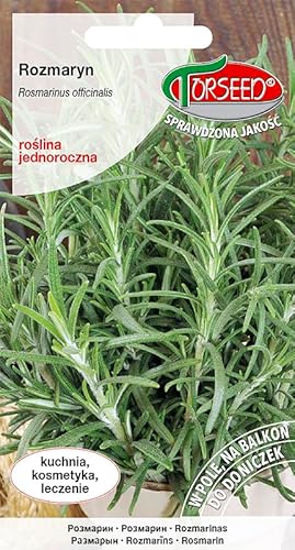 Verdica Rosmarin Rosmarinus officinalis Samen – Aromatisches Küchengewürz, Perfekt für Töpfe & Gärten, Gedeiht in der Sonne, 40-60 cm Abstand, Natürliche Konservierungsvorteile (0,1 Gramm) von Verdica
