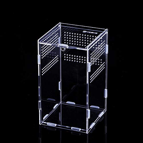 Transparente Reptilien-Terrariumbox, Insekten-Futterbox, Kletter-Terrarium, Acryl-Terrarium, tragbarer Reptilien-Lebensraum für Spinnen, Eidechsen, Skorpion, Käfer, Grillen, Mantis, Geckos (15 x 15 x von VergilSon
