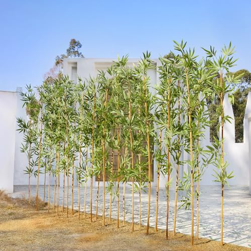 VeriNatural Künstliche Bambuspflanze 180cm - Naturgetreue Kunstpflanzen Groß mit echtem Bambusstamm, UV-beständig Artificial Plants - Fake Pflanze Deko für Wohnzimmer, Balkon& Garten 24PCS,VN144 VeriNatural Künstliche Bambuspflanze 180cm - Naturgetreue Kunstpflanzen Groß mit echtem Bambusstamm, UV-beständig Artificial Plants - Fake Pflanze Deko für Wohnzimmer, Balkon& Garten 24PCS,VN144 von VeriNatural