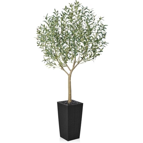 VeriNatural Olivenbaum Künstlich 210 cm - Künstliche Pflanzen Groß mit Seide Blättern & Früchten im Schwarz Topf- Kunstpflanze wie echt UV-beständig für Innen und Außen, Wohnzimmer, Balkon Deko, VN156 VeriNatural Olivenbaum Künstlich 210 cm - Künstliche Pflanzen Groß mit Seide Blättern & Früchten im Schwarz Topf- Kunstpflanze wie echt UV-beständig für Innen und Außen, Wohnzimmer, Balkon Deko, VN156 von VeriNatural