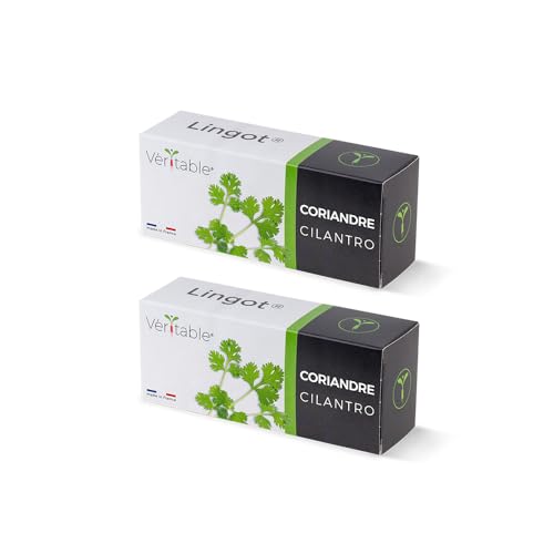 Véritable 2 Korianderbarren – Nachfüllpackung, gebrauchsfertig von Véritable