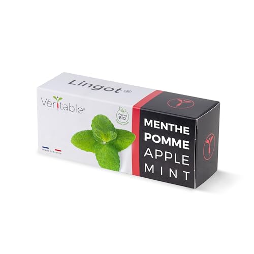 Lingot® Apfelminze – Kompatibel mit Véritable® und Exky® Indoor-Gemüsegärten – Gebrauchsfertige Nachfüllpackung – Substrat mit Integrierten Samen.. von Véritable