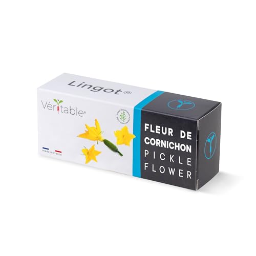 Lingot® Gurkenblume – Kompatibel mit Véritable® und Exky® Indoor-Gemüsegärten – Gebrauchsfertige Nachfüllpackung – Substrat mit Integrierten Samen.. von Véritable