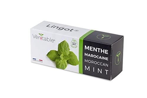 Lingot® Marokkanische Minze Bio – kompatibel mit echten Indoor-Gemüsegärten und Exky® – gebrauchsfertige Nachfüllpackung – Substrat mit integrierten Samen.. von Véritable