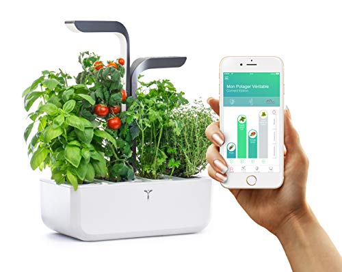 VERITABLE - CONNECT Garden - Indoor-Anbau mit automatischem LED-Beleuchtungssystem - Über die APP können Sie die Anlagenentwicklung verfolgen - Kit mit 4 Samen inklusive (Infinity Grey) von Véritable