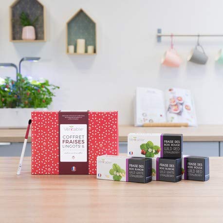 VERITABLE - Erdbeer-Geschenkset: 4 Lingots - Kompatibel mit allen Gartenarten (Erdbeer) von Véritable