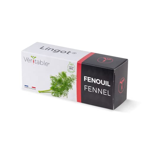 Véritable® Lingot® Fenchel Bio - Kompatibel mit Indoor-Garten und Exky® - Gebrauchsfertige Nachfüllung - Substrat mit integrierten Samen von Véritable