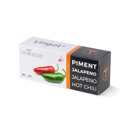 Véritable® Lingot® Jalapeño Chilipeper - Kompatibel mit Indoor-Garten und Exky® - Gebrauchsfertige Nachfüllung - Substrat mit integrierten Samen von Véritable