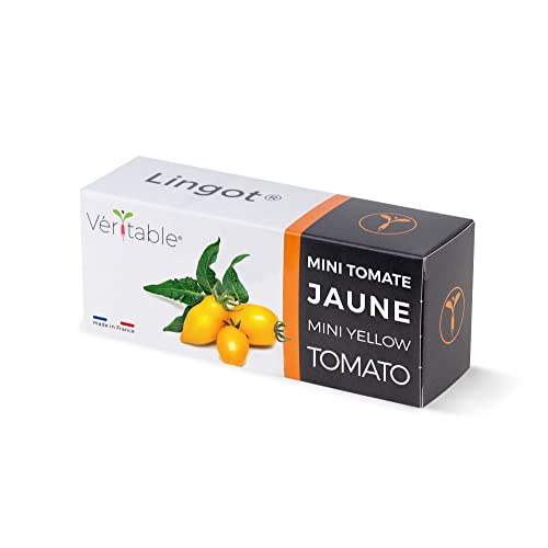 Véritable® Lingot® Mini gelbe Tomate - Kompatibel mit Indoor-Garten und Exky® - Gebrauchsfertige Nachfüllung - Substrat mit integrierten Samen von Véritable
