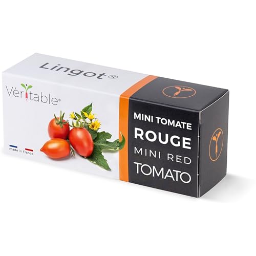 Véritable® Lingot® Mini rote Tomate - Kompatibel mit Indoor-Garten und Exky® - Gebrauchsfertige Nachfüllung - Substrat mit integrierten Samen von Véritable