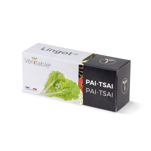 Véritable® Lingot® Pai tsai Blattsenf - Kompatibel mit Indoor-Garten und Exky® - Gebrauchsfertige Nachfüllung - Substrat mit integrierten Samen von Véritable