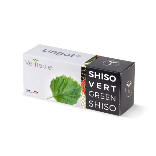 Véritable® Lingot® Perilla grün Bio - Kompatibel mit Indoor-Garten und Exky® - Gebrauchsfertige Nachfüllung - Substrat mit integrierten Samen von Véritable