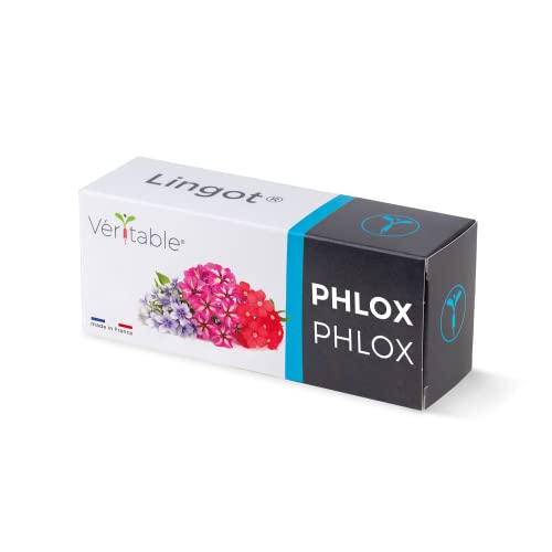 Véritable® Lingot® Phlox - Kompatibel mit Indoor-Garten und Exky® - Gebrauchsfertige Nachfüllung - Substrat mit integrierten Samen von Véritable