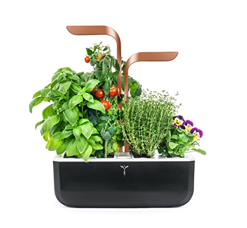 Véritable® SMART (Copper) - Indoor-Garten Made in France - Intelligenter autonomer Garten mit Adapt-Light-Technologie - Mit 4 Lingots® von Véritable