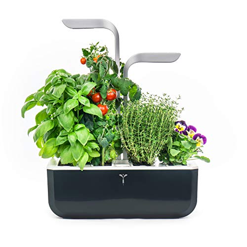 Véritable® SMART (Soft Black) - Indoor-Garten Made in France - Intelligenter autonomer Garten mit Adapt-Light-Technologie - Mit 4 Lingots® von Véritable