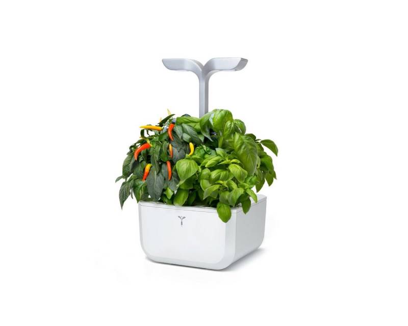 Veritable Anzuchttopf Exky SMART (1 St) von Veritable