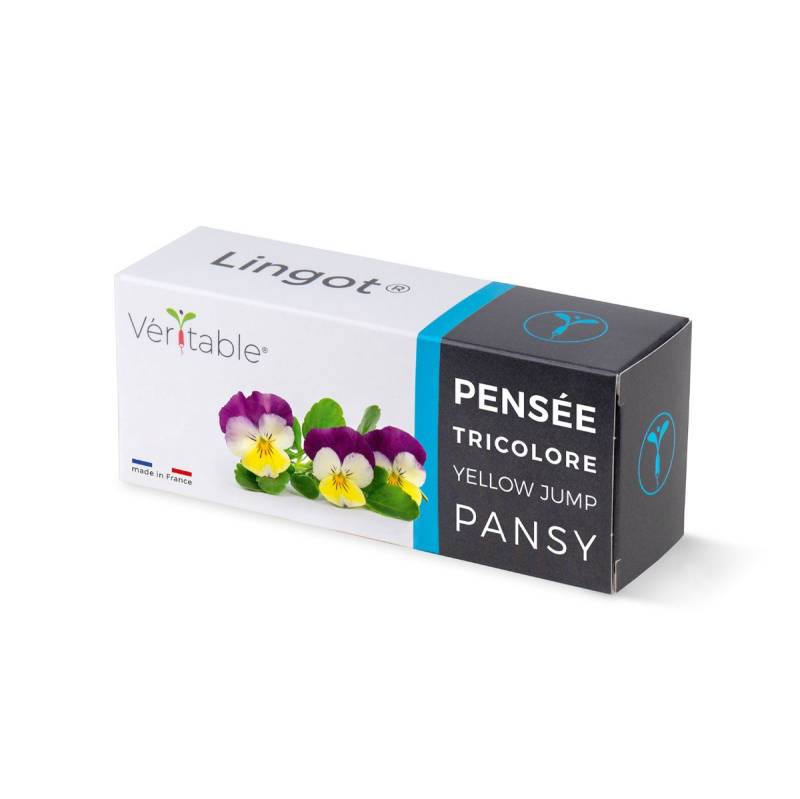 Veritable Anzuchttopf Lingot Pansy - Organic (1 St) von Veritable