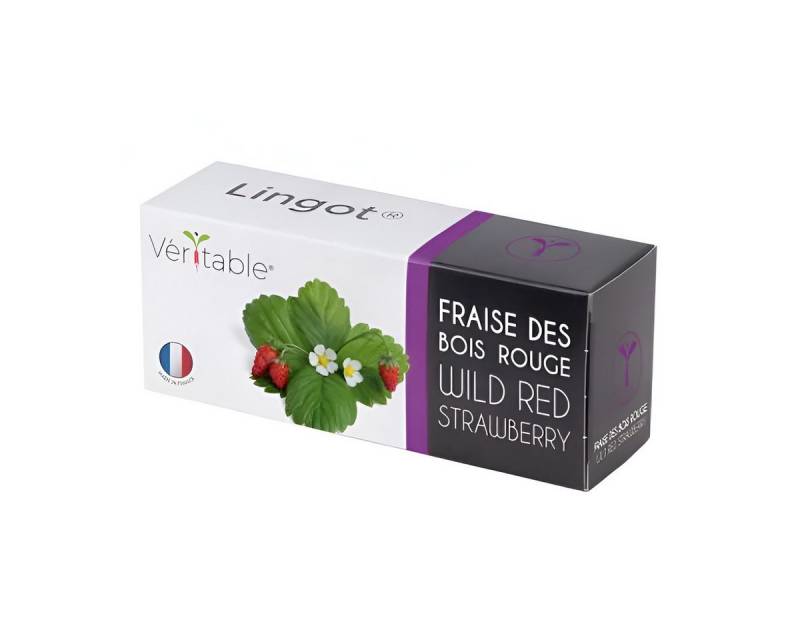 Veritable Anzuchttopf Lingot Wild Red Strawberry (1 St) von Veritable