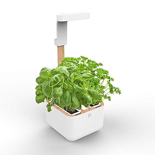 Véritable BOTANEO Eylo - Indoor-Garten - Kit mit 2 Lingot Automatisches LED-Beleuchtungs von Véritable