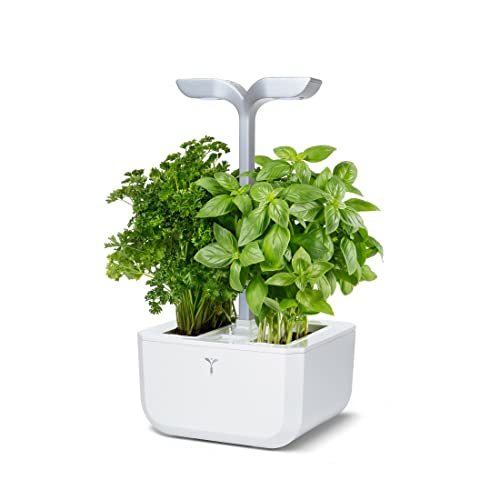 Véritable Indoor-Garten Exky® SMART (Arctic White) Kompakter und autonomer intelligenter Garten mit Adapt-Light-Technologie - Mit 2 Lingots® von Véritable