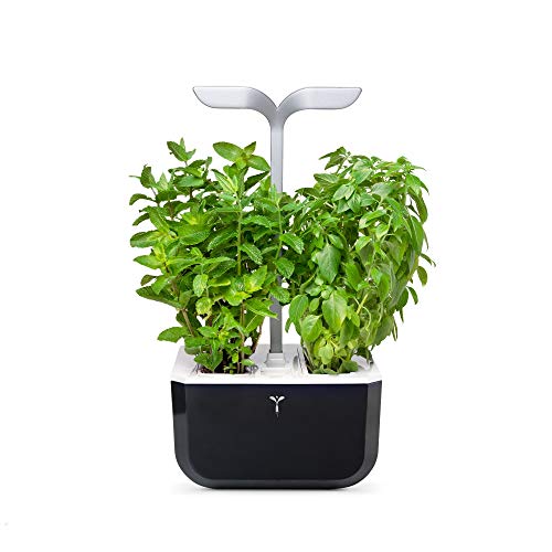 Véritable Indoor-Garten Exky® Smart (Soft Black) Kompakter und autonomer intelligenter Garten mit Adapt'light-Technologie - Mit 2 Lingots® von Véritable