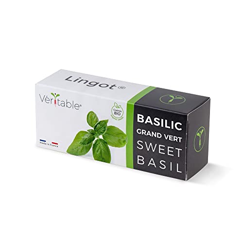 Véritable Lingot (Neuartige Aromatische Kräuter, Bio-Genoveser Basilikum) von Véritable