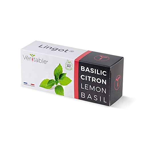 Véritable Lingot (Neuartige Aromatische Kräuter, Bio-Zitronen-Basilikum) von Véritable