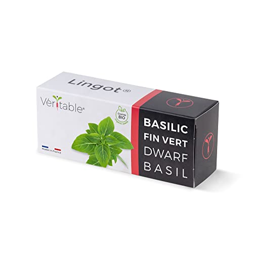 Lingot® Véritable® (Neuartige Aromatische Kräuter, Organic Dwarf Basil) von Véritable