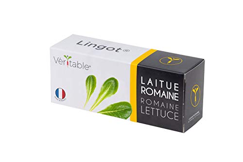 Veritable Lingot Romaine Salat von Véritable